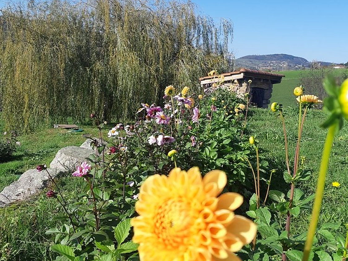 Le jardin fleuri de l’auberge
