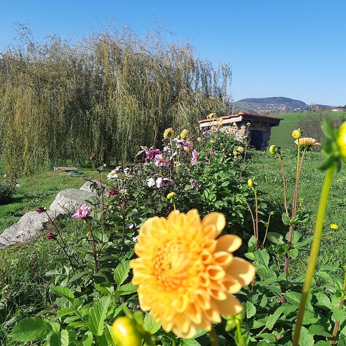 Les monts du Lyonnais depuis la terrasse